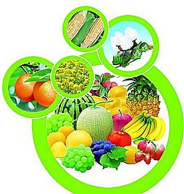 切開的哈密瓜產品工業(yè)圖片_切開的哈密瓜產品工業(yè)素材_切開的哈密瓜產品工業(yè)