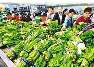 春節前菜市場探秘 蔬菜、水產、肉類價格與供應全解析