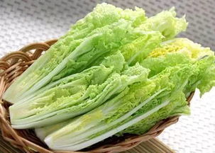 京東進軍蔬菜領域 重塑品質標準，超越有機蔬菜的革新之路